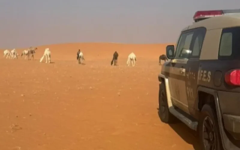 ضبط مخالفة رعي في محمية الإمام عبدالعزيز بن محمد وتفاصيل العقوبة القانونية للمخالف